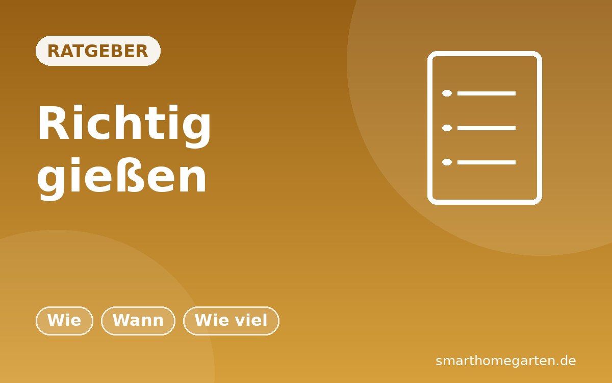 Richtig gießen: Wie, wann und wie viel?